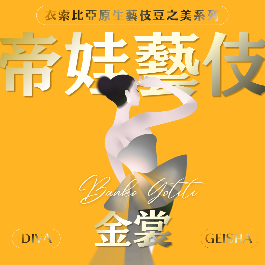 金裳✦衣索比亞 帝娃藝伎系列