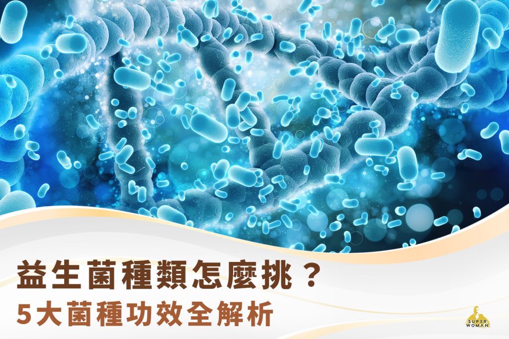 益生菌種類