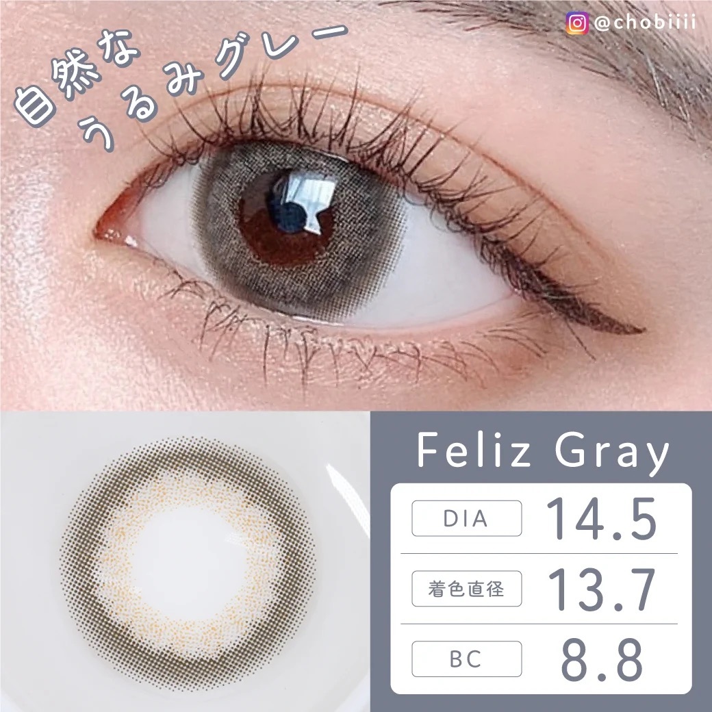 [月拋] TeAmo 1 Month Cheria Series Feliz Gray｜月拋彩妝隱形眼鏡｜每盒2片