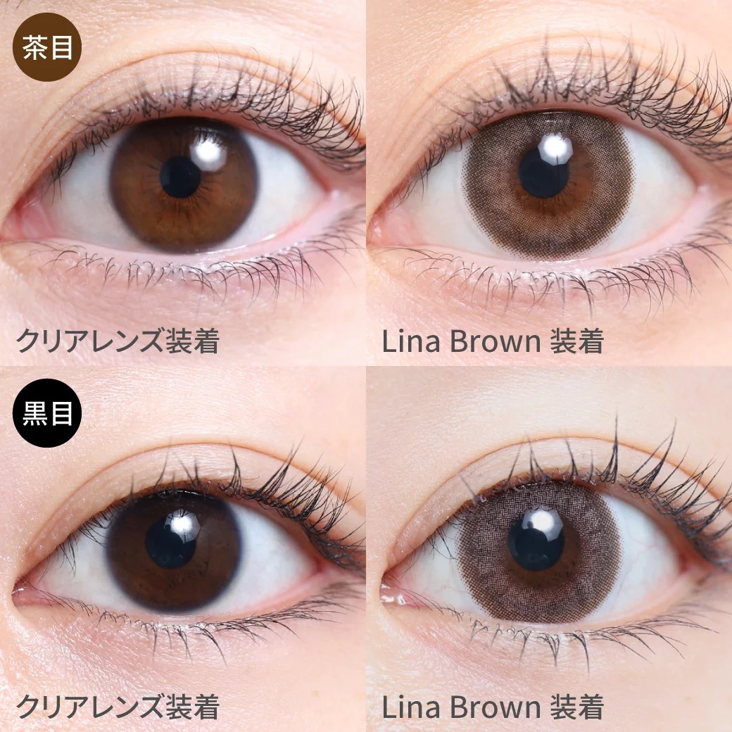 [月拋] TeAmo 1 Month Cheria Series Lina Brown｜月拋彩妝隱形眼鏡｜每盒2片