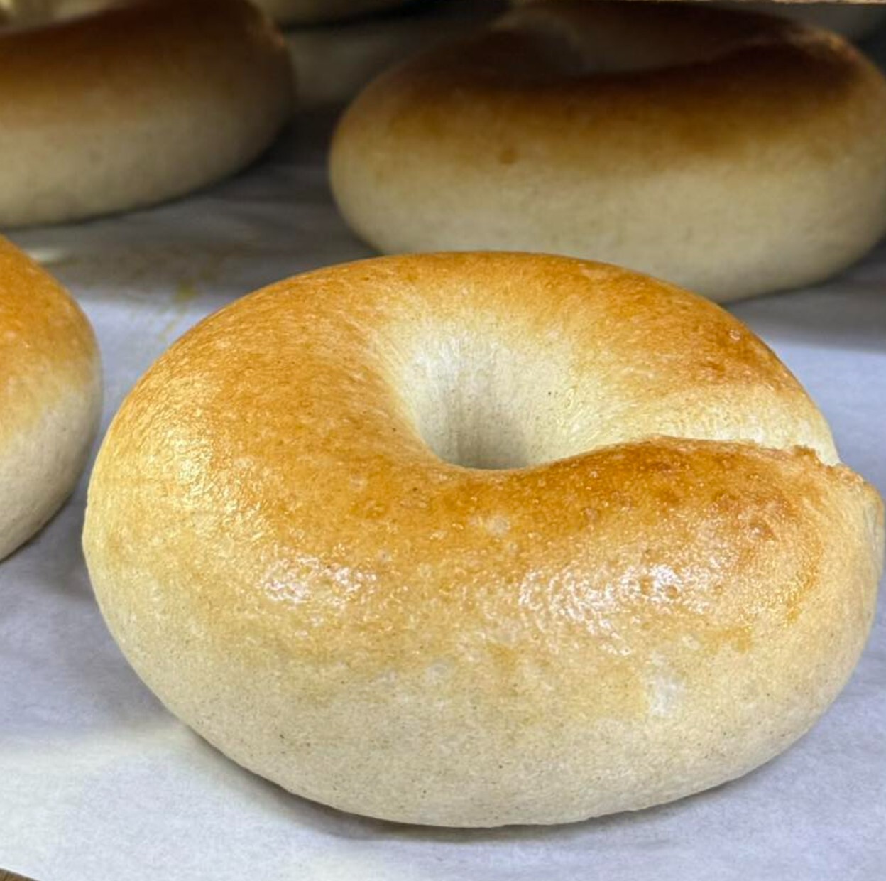 【團購】原味Bagel