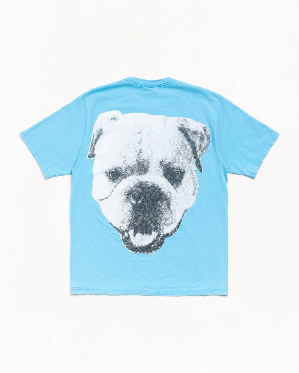 【Stussy】26夏季系列 BIG DOG STONE WASHED TEE