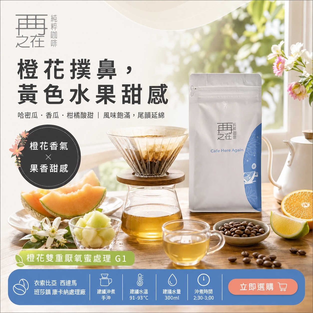 衣索比亞 班莎鎮 康卡納處理廠 橙花雙重厭氧蜜處理 G1