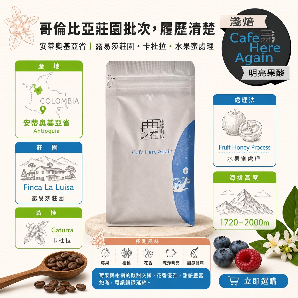 哥倫比亞 安蒂奧基亞省 露易莎莊園 莓好時光 水果蜜處理 卡杜拉