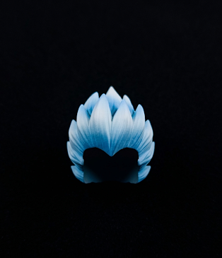 【Feelings】頭髮