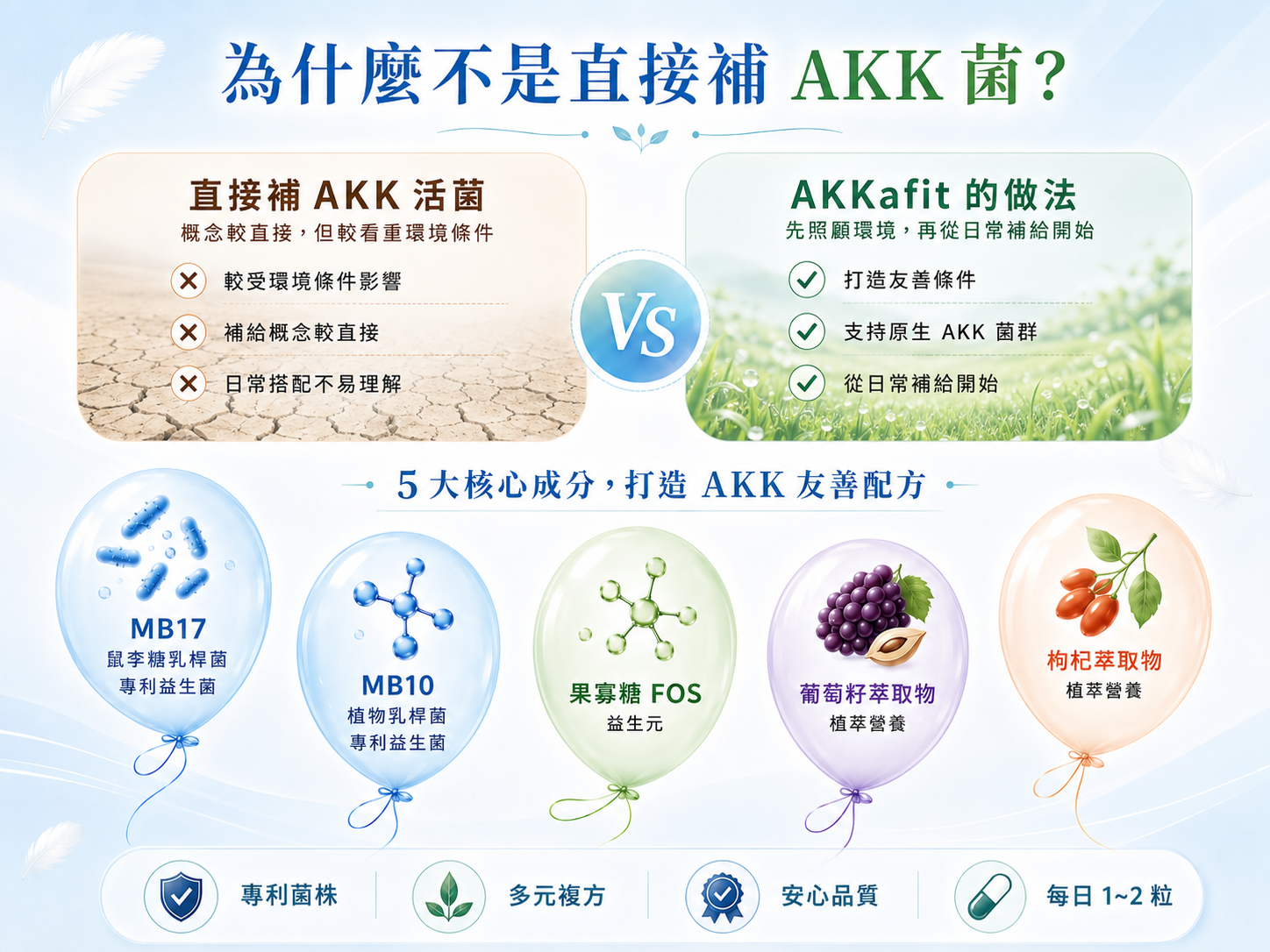 為什麼不是直接補 AKK 菌 — 5 大核心成分