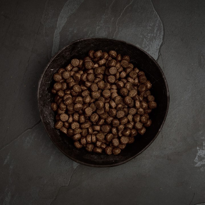 Canagan原之選 無穀物全犬糧．高地盛宴配方2kg/6kg/12kg