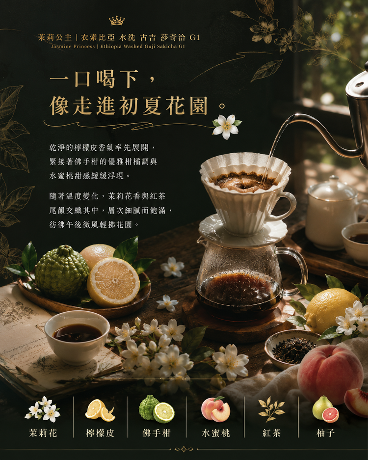 茉莉公主｜衣索比亞 水洗 古吉 莎奇洽 G1｜咖啡豆 227g