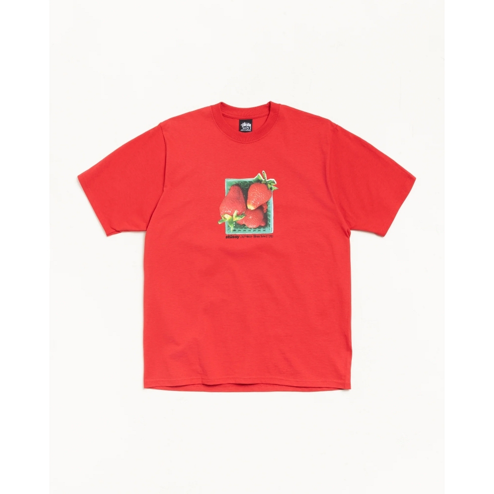 Stussy BERRIES TEE 短T 紅色