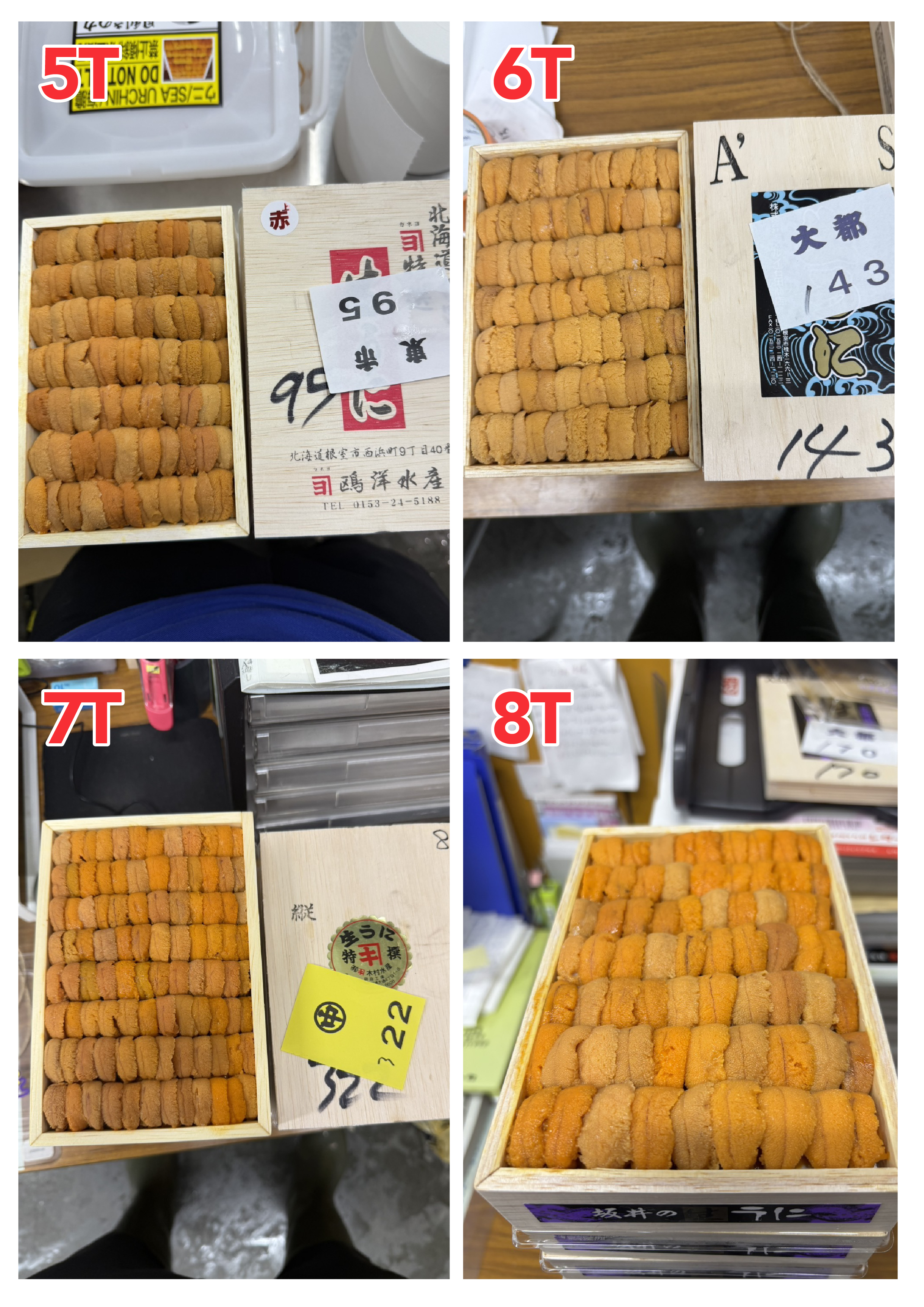 【指定海膽推薦】每天更新 (限即日落單, 翌日送)