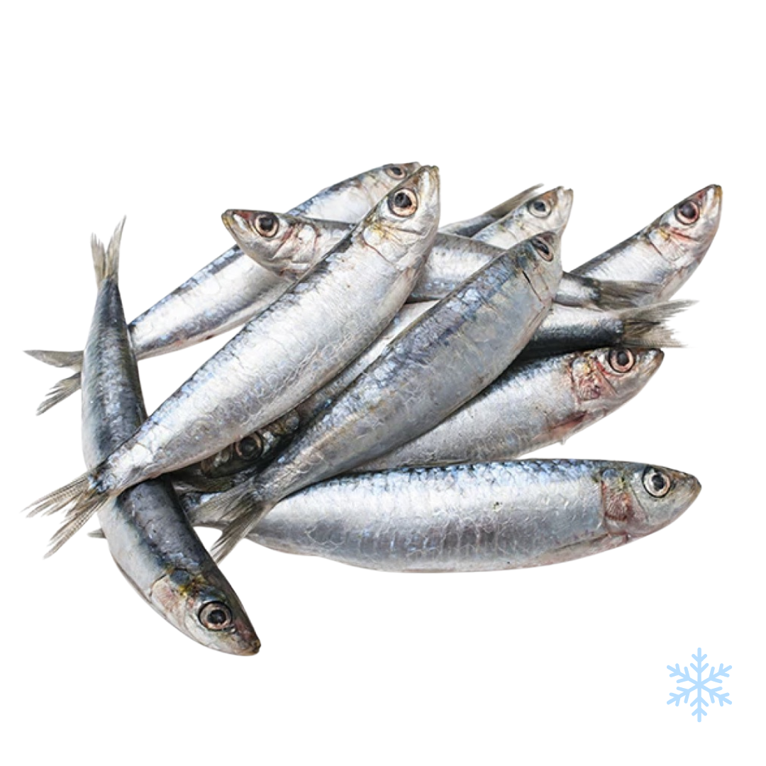 Portugal Raw Sardine Fish 1kg (Frozen -18°C)