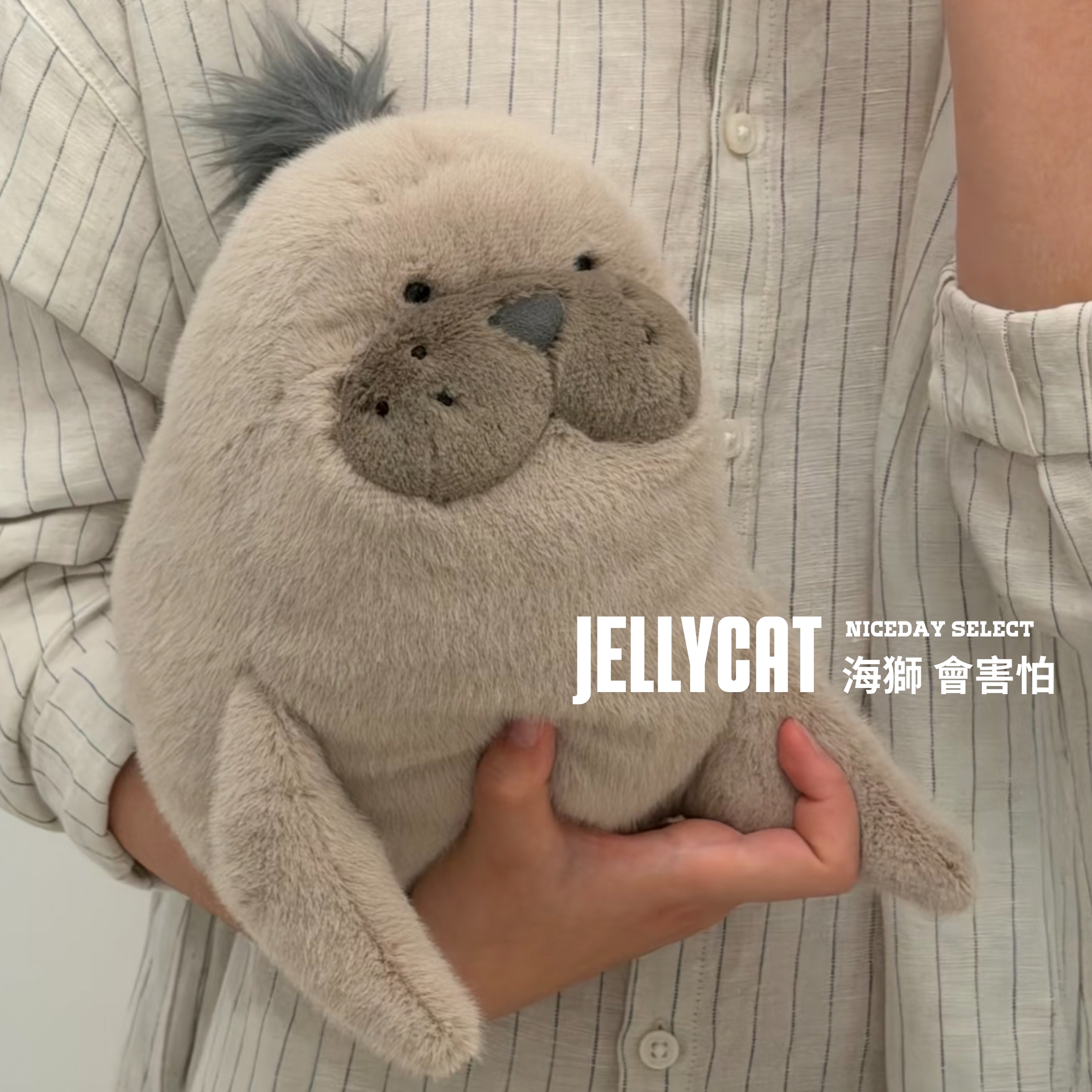 NICEDAY 代購 Jellycat 海獅 海獅會害怕 可愛 海豹 動物 娃娃 毛絨玩偶