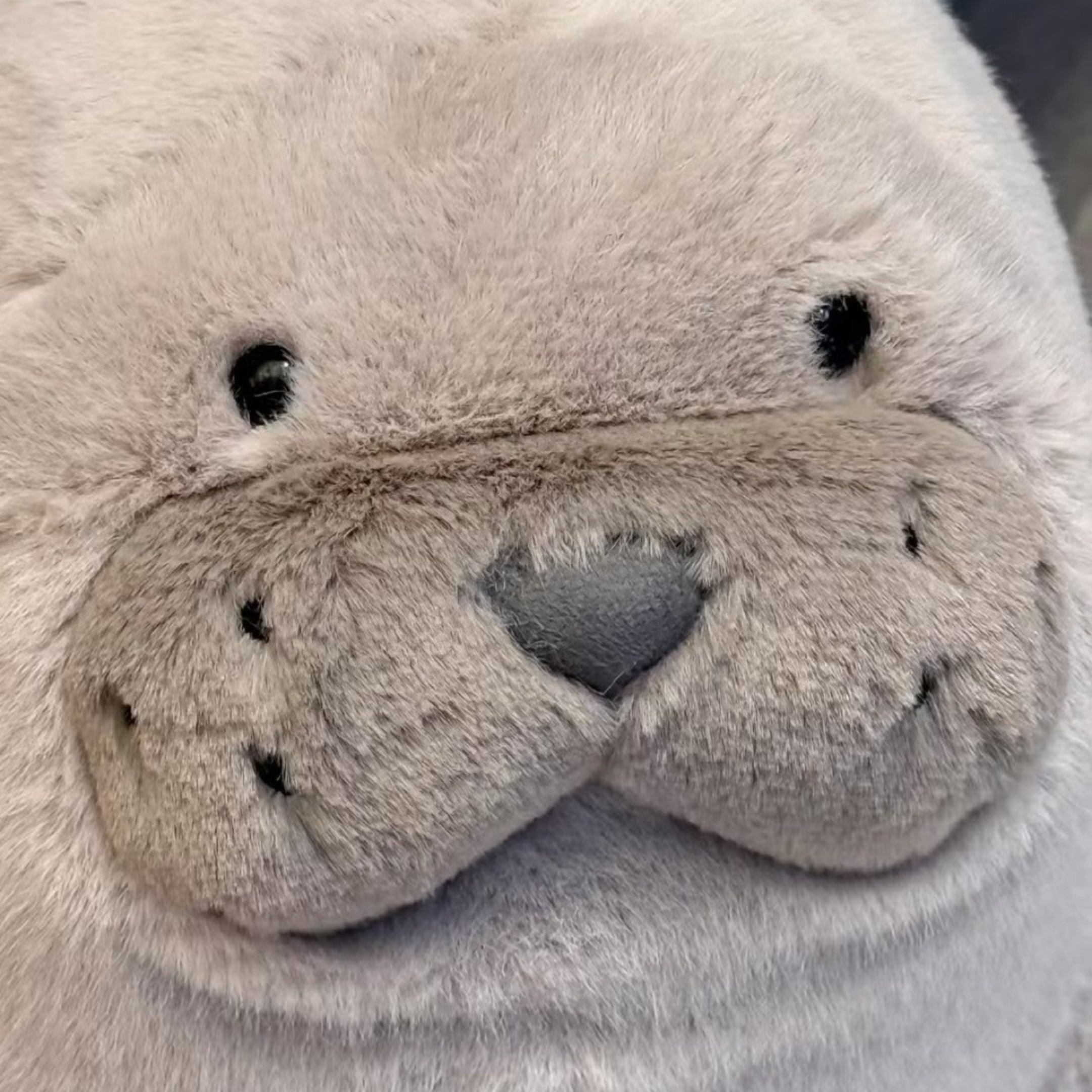 NICEDAY 代購 Jellycat 海獅 海獅會害怕 可愛 海豹 動物 娃娃 毛絨玩偶