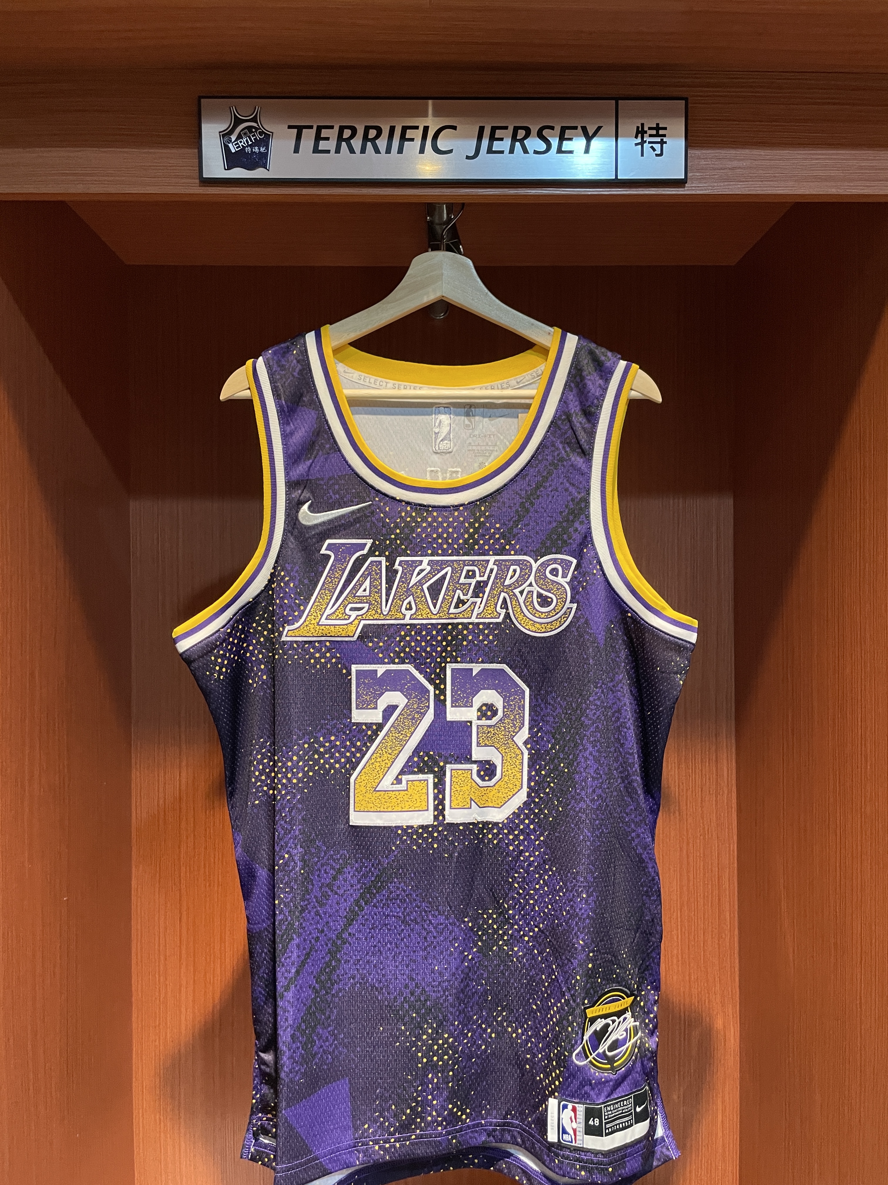NBA球衣 Lebron James 洛杉磯湖人 異色 數位 Select Nike Swingman 球迷版 電繡 全新