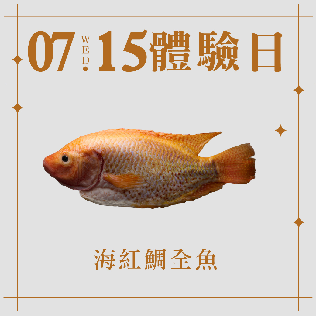 7/15體驗日｜海紅鯛全魚 500g