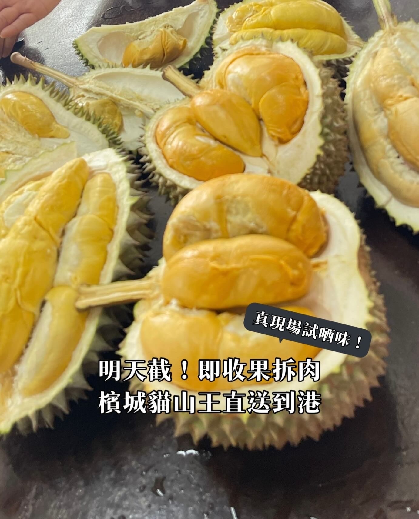 檳城直送｜貓山王榴槤果肉