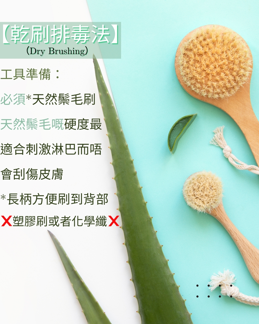 第五類 - 生活細節與居家養生
