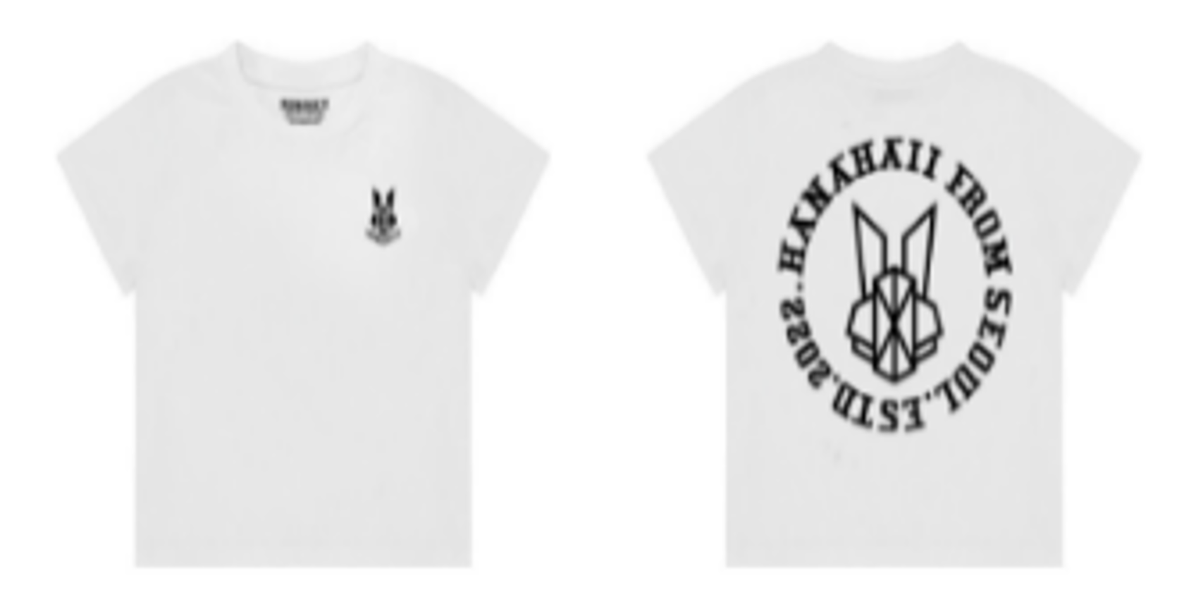 0627HA29-HANAHAII-CLOTH-Hanahaii 2026 新款極簡幾何線條兔修身短版 T-shir-均碼[2件起 $138/件,同優惠可混款]（A29）