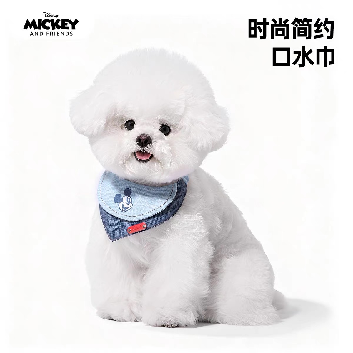 DISNEY MICKEY PET SCRAFT
