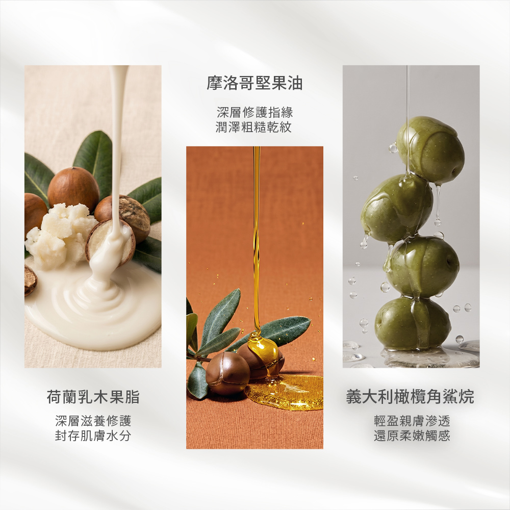 三大核心植物油滋養成分圖解。左側為荷蘭乳木果脂(深層滋養修護、封存肌膚水分);中間為摩洛哥堅果油(深層修護指緣、潤澤粗糙乾紋);右側為義大利橄欖角鯊烷(輕盈親膚滲透、還原柔嫩觸感)。畫面結合成分原料的微距實照。