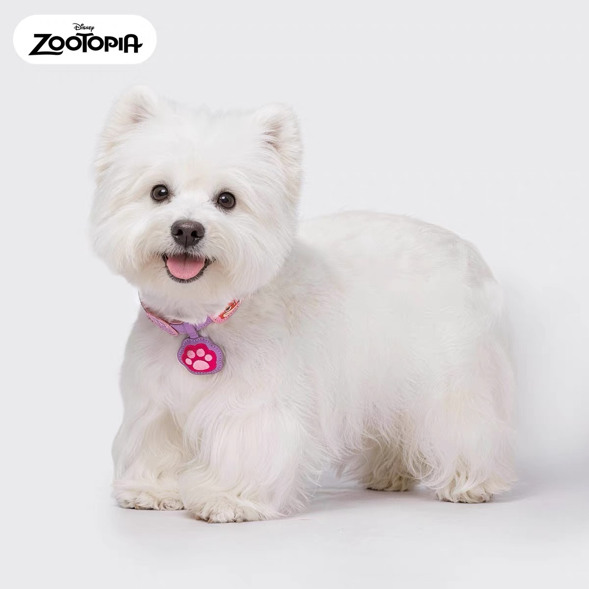 DISNEY ZOOTOPIA PET COLLAR