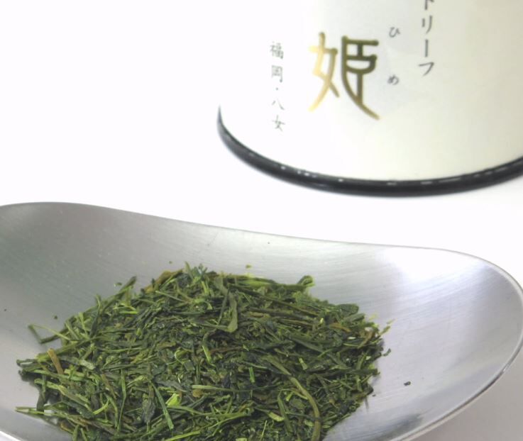 星野製茶園 白葉茶 幻の白葉 白姫 【八女茶】