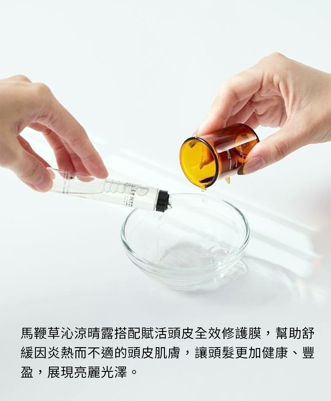 馬鞭草頭皮修護組