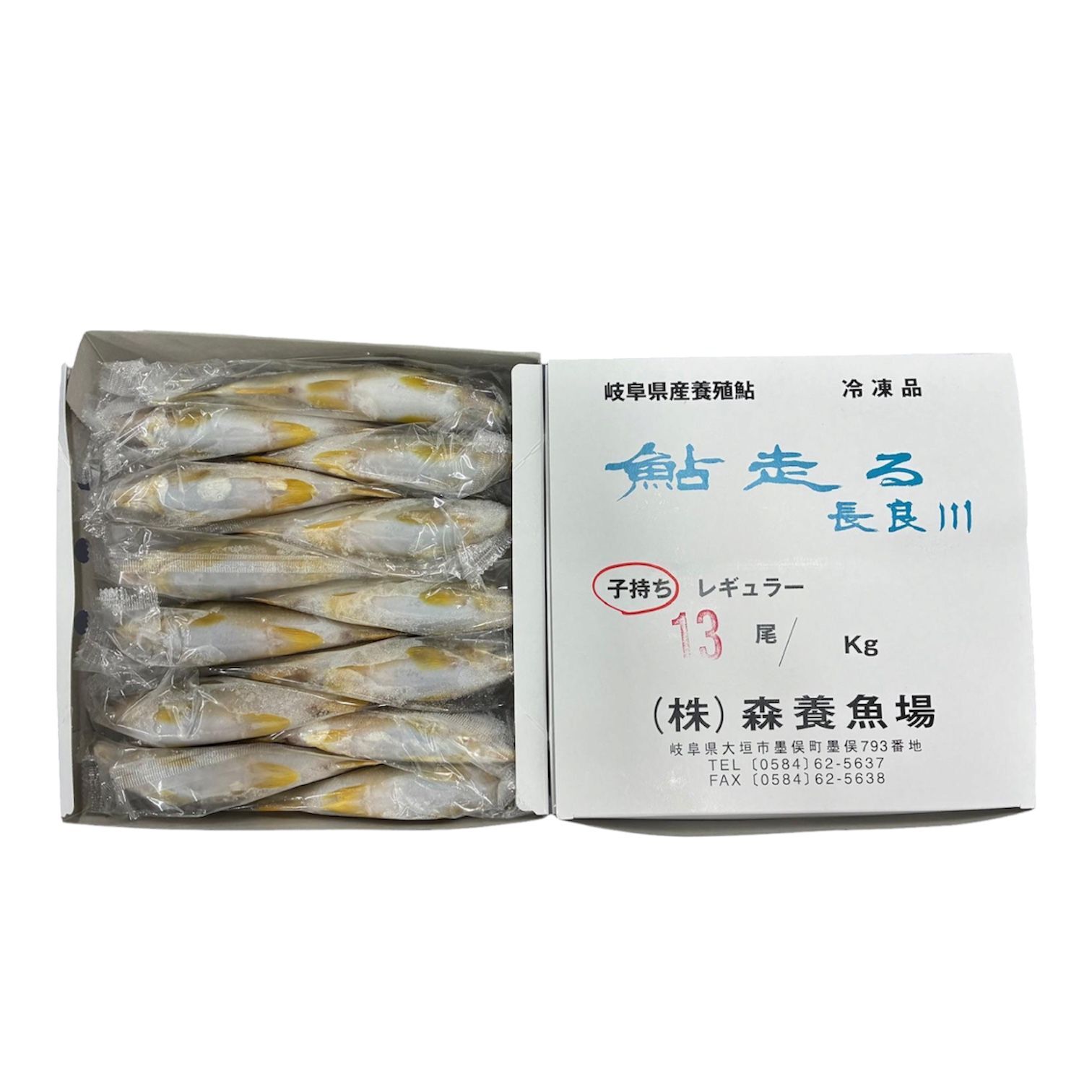 冷凍子持ち鮎（12/13尾サイズ/kg） 冷凍籽持香魚