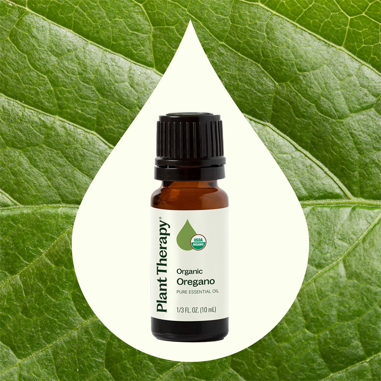 美國 Plant Therapy 有機牛至 Oregano 精油 -10ml
