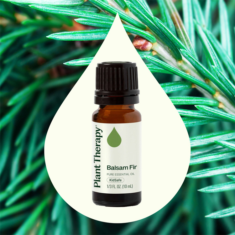 Plant Therapy 香脂冷杉 Balsam Fir 精油 (兒童安全)- 10ml