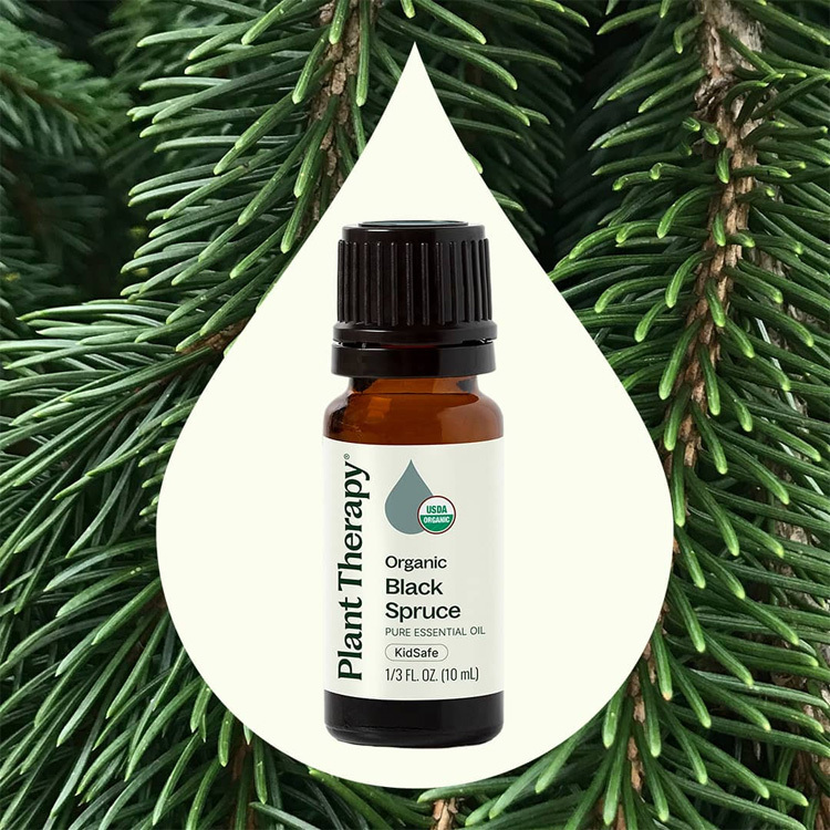 Plant Therapy 有機黑雲杉 Black Spruce 精油(兒童安全)- 10ml