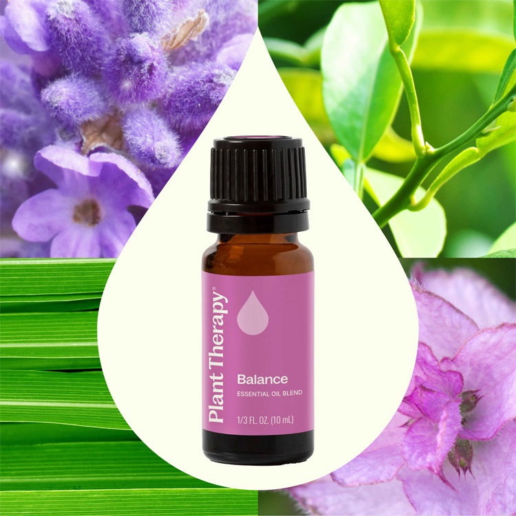 Plant Therapy Balance Synergy Essential Oil (For Women) - 10ml