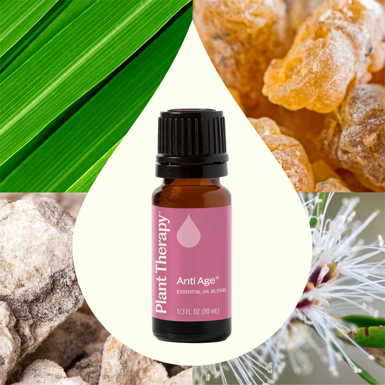 ［面部護理］Plant Therapy 逆齡 Anti Age 精華油 - 5ml