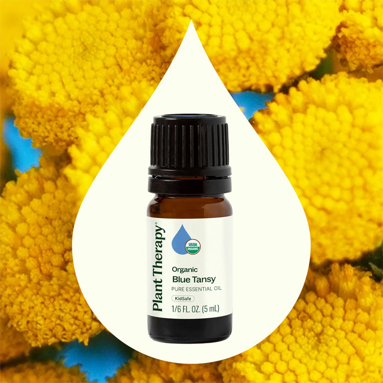 美國 Plant Therapy 有機藍艾菊 Blue Tansy 精油 (兒童安全) 5ml /10ml