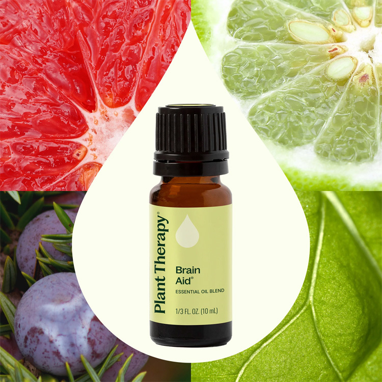 Plant Therapy Brain Aid Synergy Essential Oil - 10ml