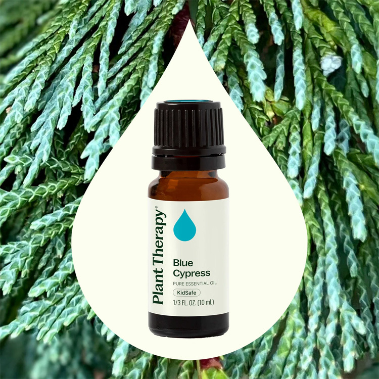 Plant Therapy 藍絲柏 (Blue Cypress)精油 (兒童安全)- 10ml