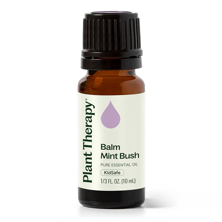 Plant Therapy 澳洲香脂薄荷 Balm Mint Bush 精油 (兒童安全) - 10ml