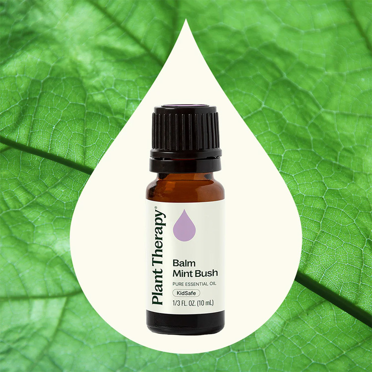 Plant Therapy 澳洲香脂薄荷 Balm Mint Bush 精油 (兒童安全) - 10ml