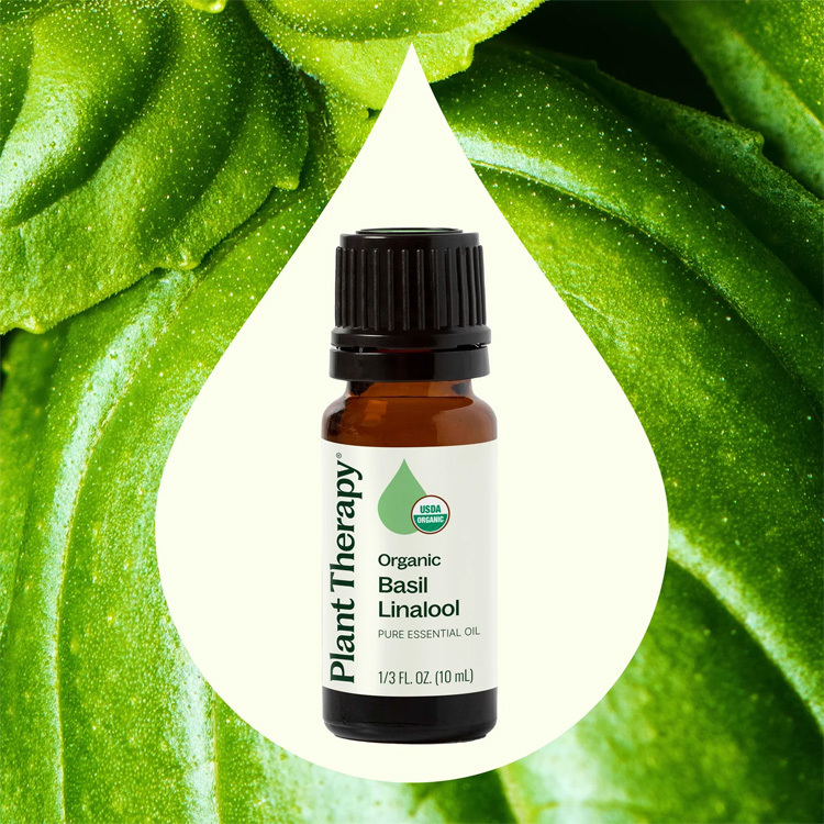 Plant Therapy 有機羅勒沉香醇(Basil Linalool) 精油 - 10ml