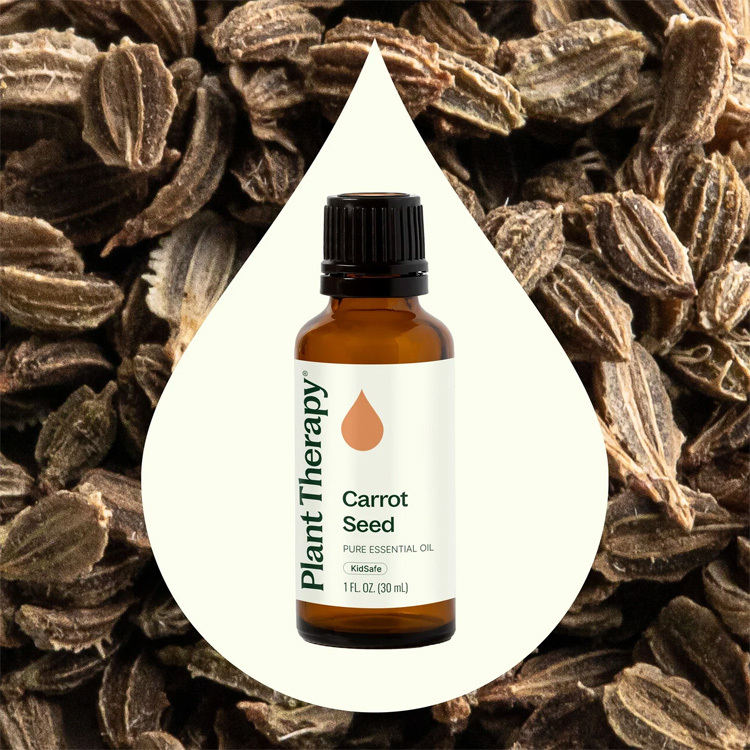 Plant Therapy Carrot Seed Essential Oil - 10ml