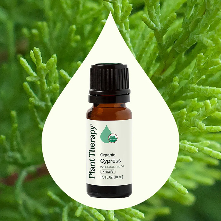 Plant Therapy 有機絲柏 Cypress 精油(兒童安全) -10ml