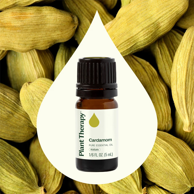 Plant Therapy 豆蔻 Cardamom 精油 (兒童安全) - 5ml