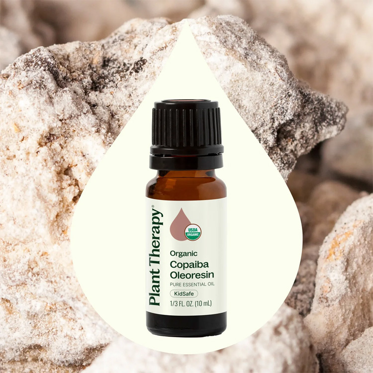 美國 Plant Therapy 有機苦配巴 Copaiba Oleoresin 精油（兒童安全） - 10ml