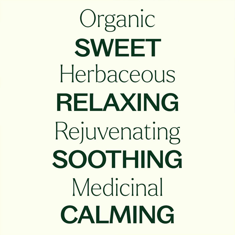 Plant Therapy 德國洋甘菊 German Chamomile  精油 - 5ml