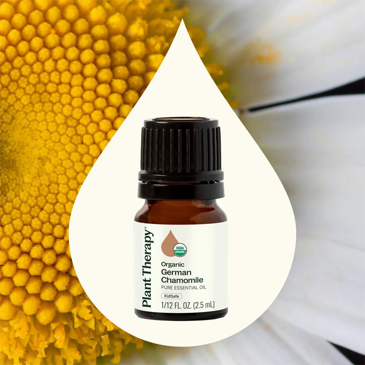 Plant Therapy 有機德國洋甘菊 German Chamomile  精油 - 2.5ml / 5ml