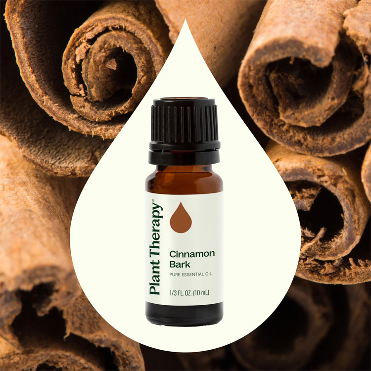 Plant Therapy Cinnamon Bark Essential Oil - 10ml