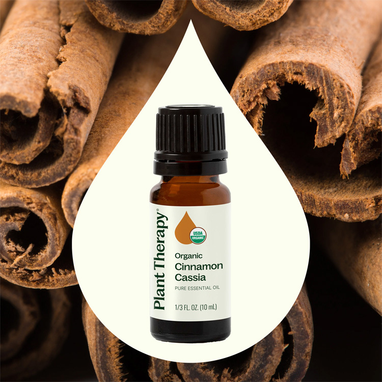 Plant Therapy 有機肉桂 Cinnamon Cassia 精油 - 10ml