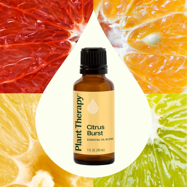Plant Therapy Citrus Burst Synergy Essential Oil - 10ml