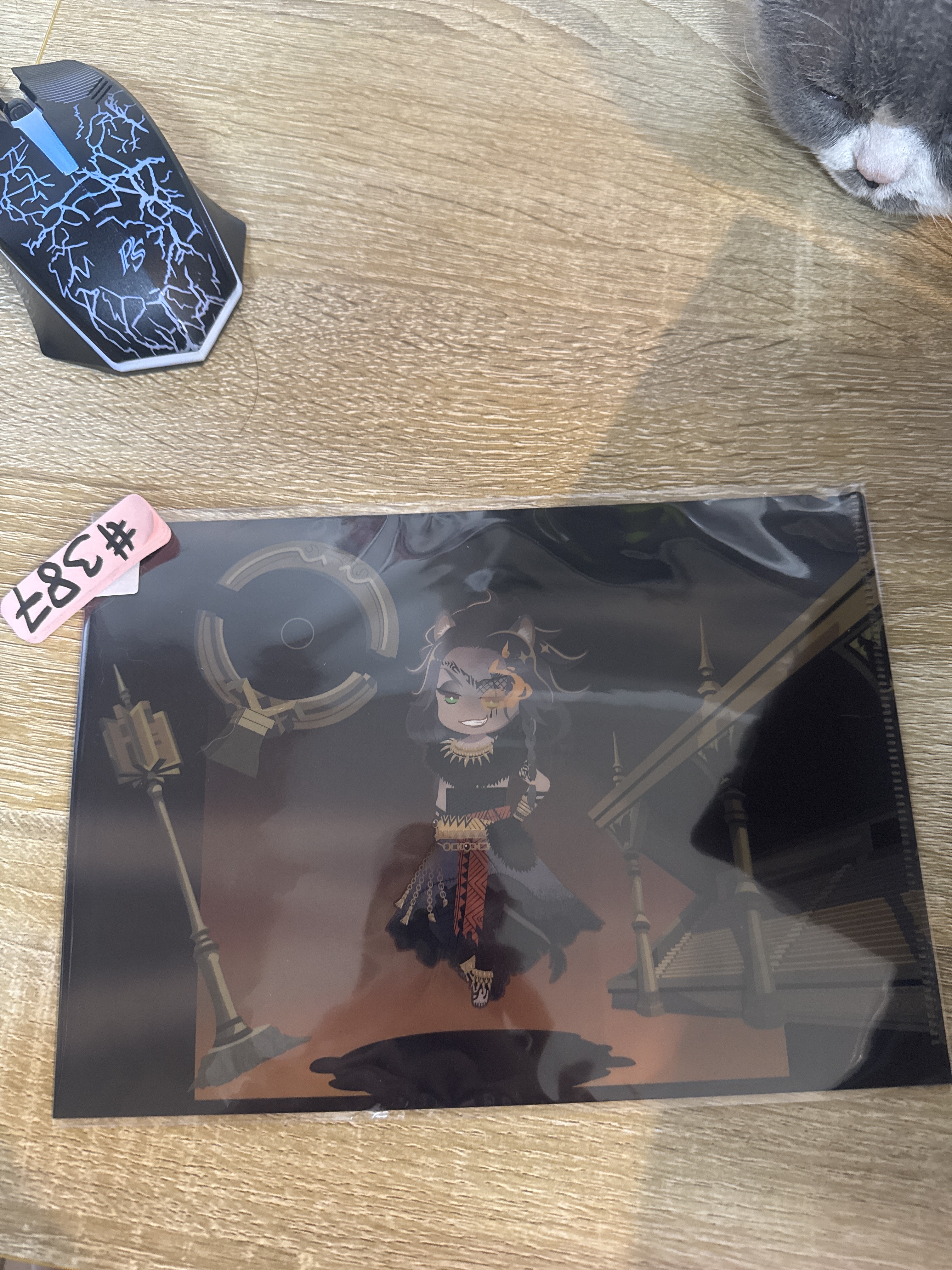 TWST LEONA MINI FILE#387
