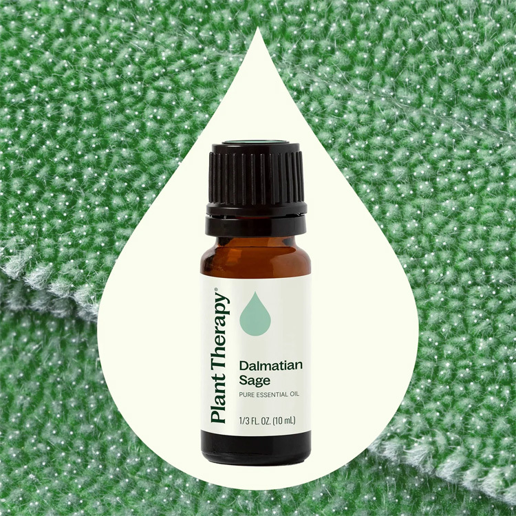 Plant Therapy 鼠尾草 Dalmatian Sage 精油 -10ml